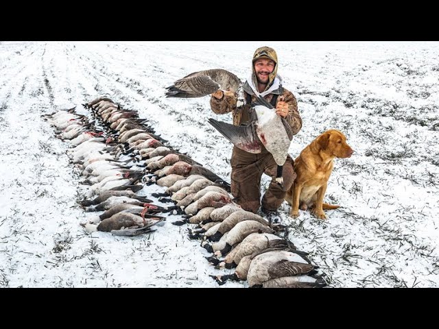 HUNTING INSIDE CITY LIMITS GOT A BAND AND A VERY SPECIAL BIRD!!