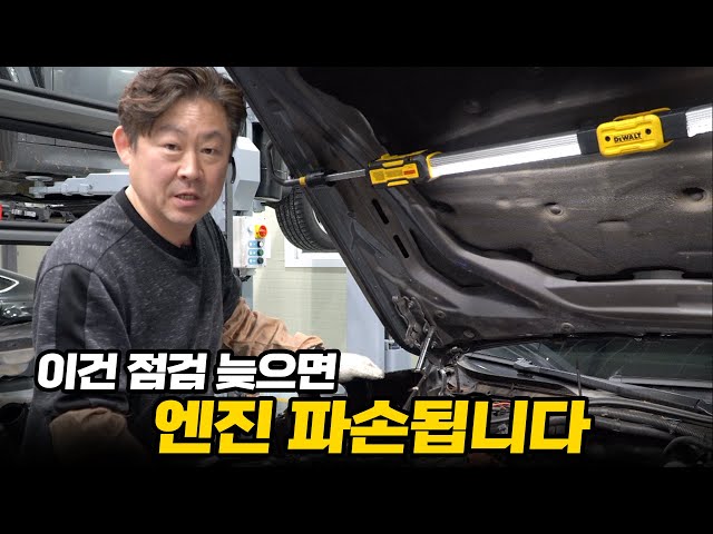 N20엔진 오일누유 시 필수점검 해주세요 bmw 528i #수입차수리 #장용석의내차를부탁해