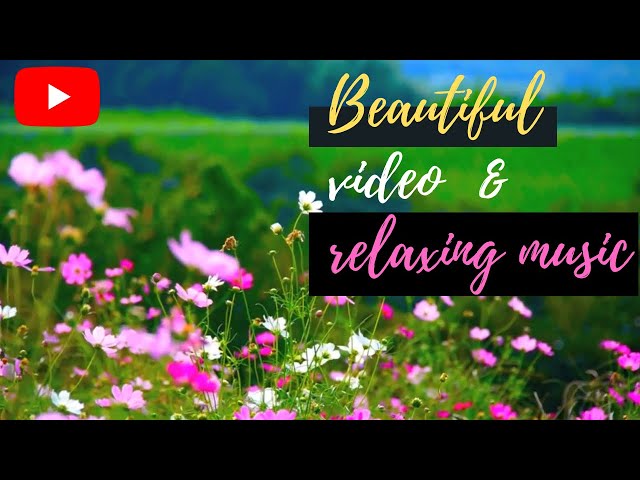 Beautiful  music for sleep soothing relaxation