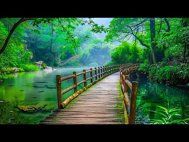 Beautiful Relaxing Music to Reduce Stress - Meditation Music, Sleep Music, Healing Music #5