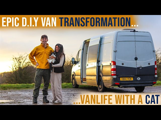 When An Engineer Converts A Van | Full Time VanLife With A Cat