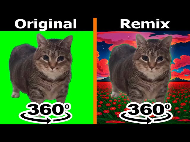 oiiaoiia cat Original vs Remix 360º