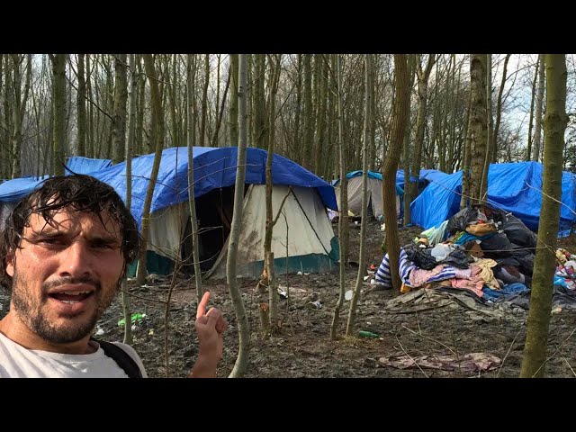 Hitchhiking Mission to Camp in Illegal Migrant Forest with Bears (Day 28)