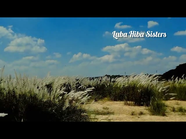 ഇഷലിന്റെ രാപ്പകൽ നൃത്ത മാടി #song #video video#ytvideo#nature