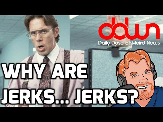 Why are jerks… jerks? * And 16 more true weird news stories!  #DDWN