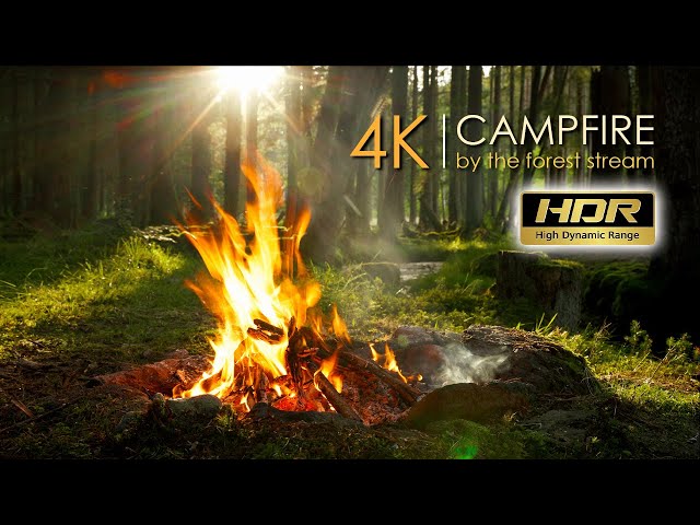 4K HDR Campfire in Forest🌲No Loop 🔥 Realtime Sounds 🪵 High Quality