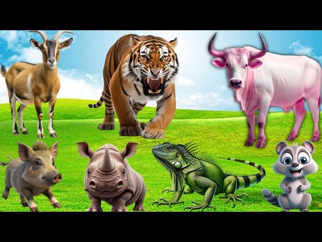 Adorable Animal Moments: Duck, Sheep, Elephant, Buffalo, Dog, Cat, Chicken, Goat - Animal Sounds