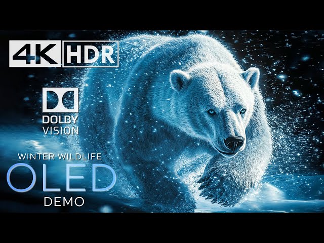 Winter Wonderland ❄ 4K Video ULTRA HD - HDR Dolby Vision (8K/12K TV)