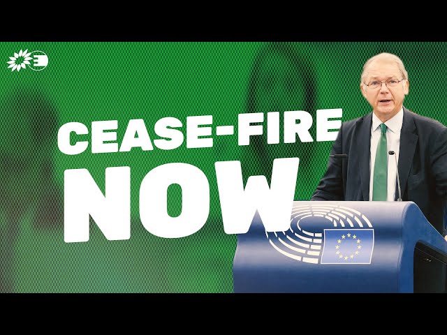 Israel/Palestine: We are calling for an immediate cease-fire