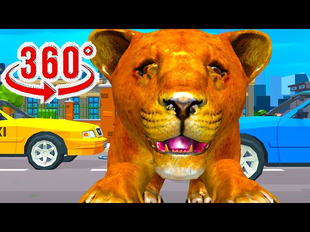 Playing with Wild Lions VR meme 360 video experience