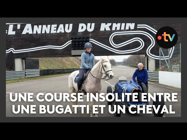 Une course hors norme entre une Bugatti et un cheval