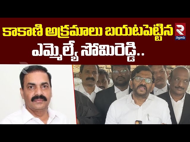 కాకాణి అక్రమాలు బయటపెట్టిన ఎమ్మెల్యే సోమిరెడ్డి | MLA Somireddy Sensational Comments On Kakani | RTV