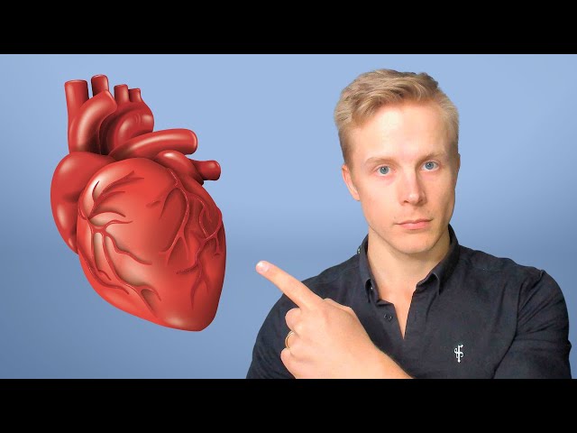 Boost Your Heart Health: The Surprising Power of Heart Rate Variability (HRV)