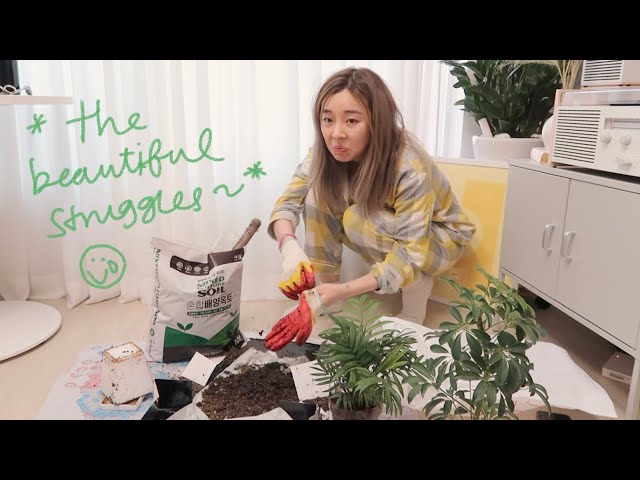 ADULTING SERIES || plant parenthood, first snow, Filipino noodle mukbang (DELISH)