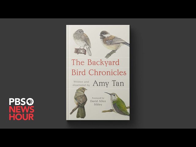 Amy Tan turns her literary gaze on the world of birds in 'The Backyard Bird Chronicles'