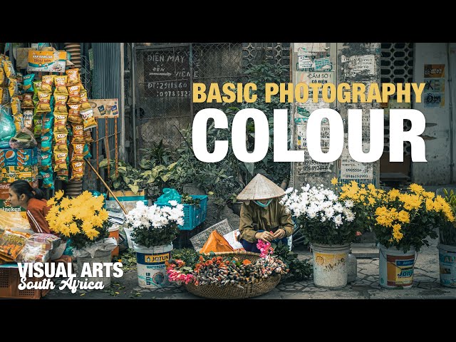 Basic Photography | Beginner Color: Before and after you Shoot.