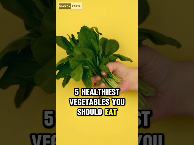 5 Healthiest Vegetables You Need to Add to Your Diet!