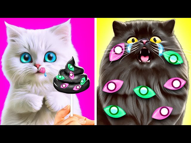 Watch your Kitten's Food 🤡😱 *Rich Cat and Poor Dog in Digital Circus*