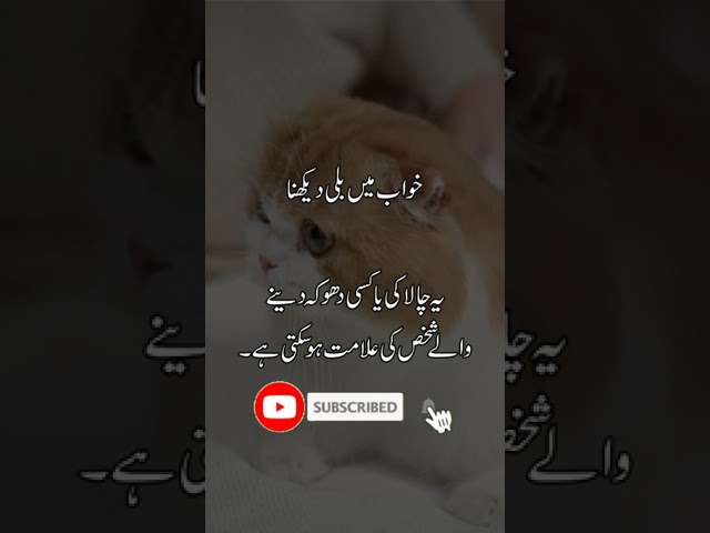 Khowab men bili dekhna | Khwabon ki Tabeer