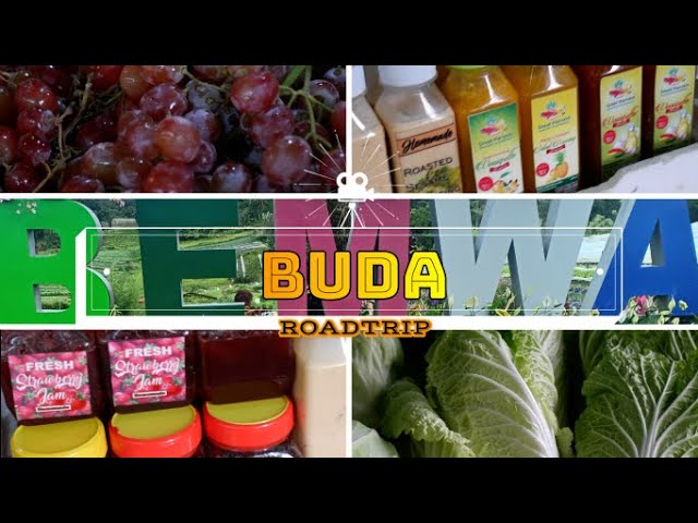 BUDA (Bukidnon-Davao) ROADTRIP WITH FRIENDS Part 3 | Kristina Ligaya | Day Off Diaries