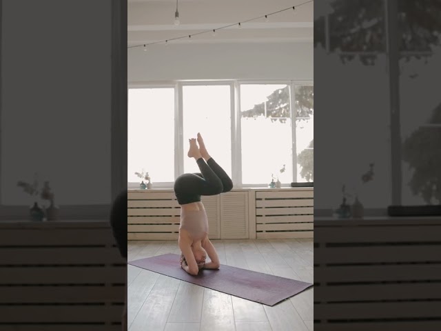 30 Min Full Body Flow | Yoga To Stretch, Breathe, & Feel The Bliss