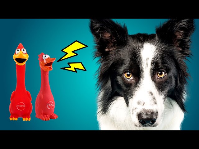 BEST Squeaky Toys for Your Dog in 2025 🐶 TOP 13