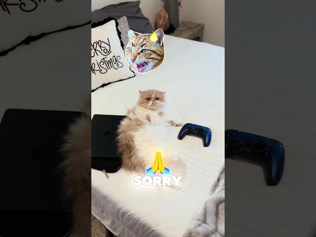 Cat Vs. PS5 #gaming #viral