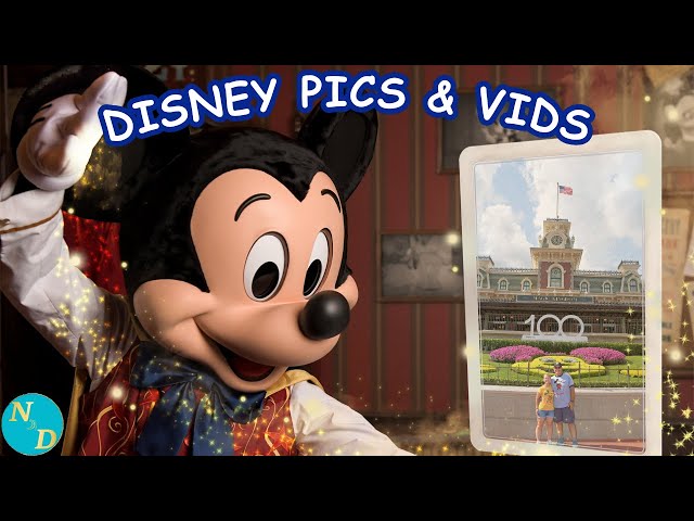 Disney Pictures and Videos -  Disney World's Hollywood Studios