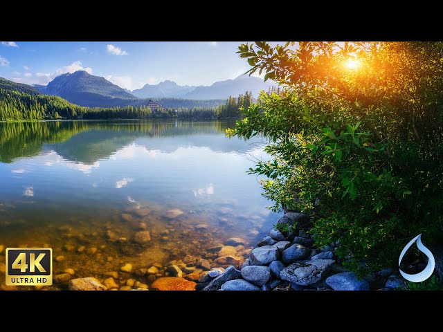 Beautiful Relaxing Music 🍀 Soothing Melodies with Stunning Nature in HD