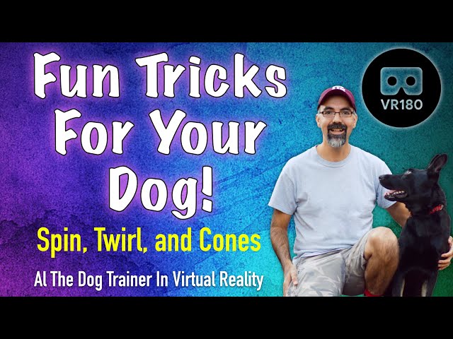 Fun Tricks for your dog! In VR 180! - Spin, Twirl, and Cones.