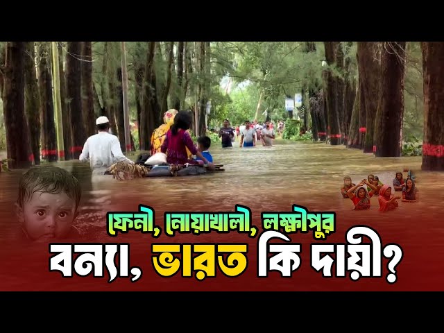 কেন বারবার বন্যায় প্লাবিত হচ্ছে ফেনী, নোয়াখালী ও লক্ষ্মীপুর?  Humanity Crisis | Flood  News