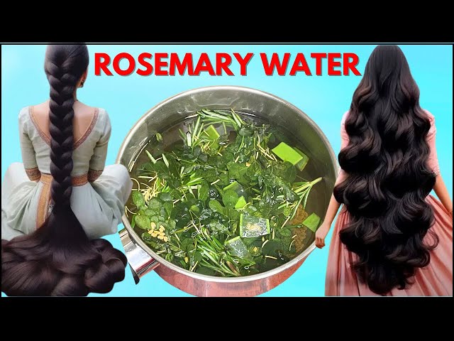 This Rosemary Water Made My Hair GROW Like CRAZY | How to make Rosemary Water For Hair Growth