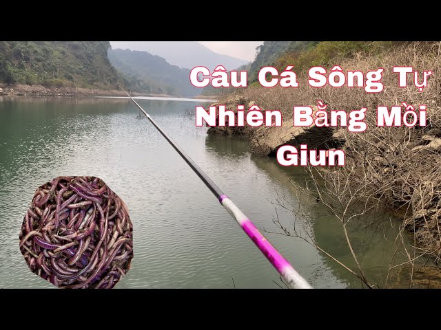 Câu Cá Sông Tự Nhiên Mùa Nước Cạn, Ngồi Bãi Câu Đẹp Nhưng Vẫn Móm -Hạnh Fishing