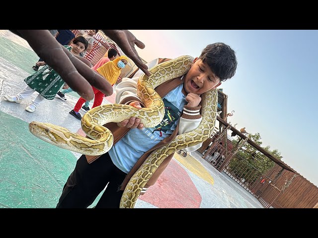 Snake ne pakad liya chinu ko