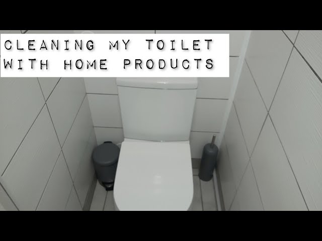 Clean with me//Toilet cleaning motivation vlog//Biodegradable Products