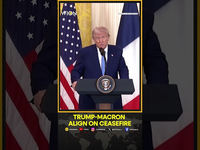 Trump And Macron Reaffirm Their Commitment To Ending Ukraine War | WION Shorts