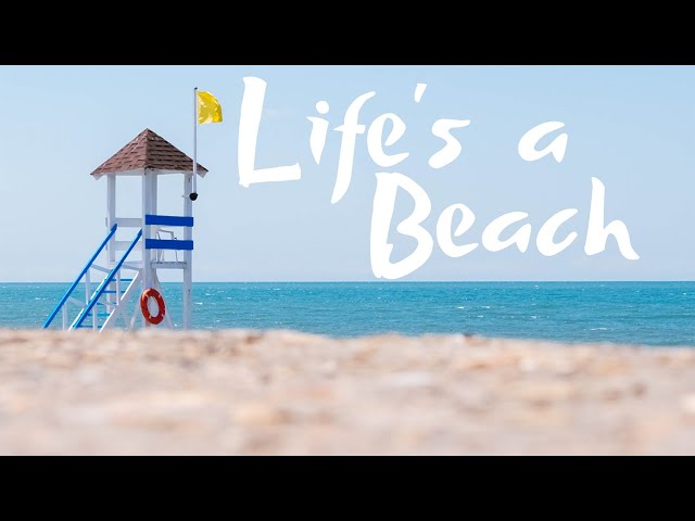 Life On The Beach Includes The Ocean | David Jackson | Hilltoplhc