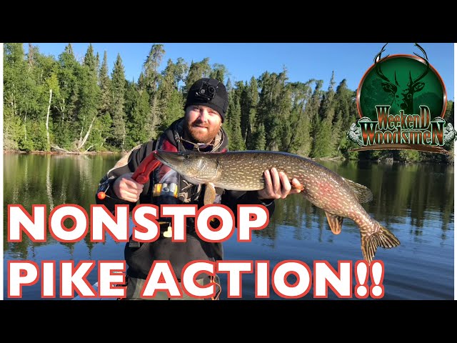 Northern Pike Fishing | Trip of a lifetime