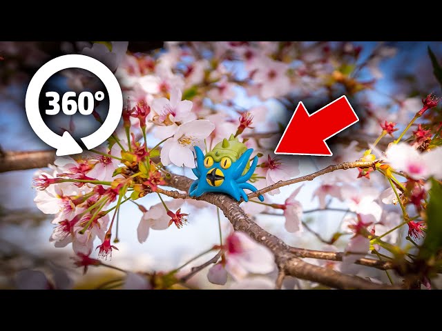 🌸Osaka Castle Park Sakura Cherry Blossoms🌸360 Degree Video