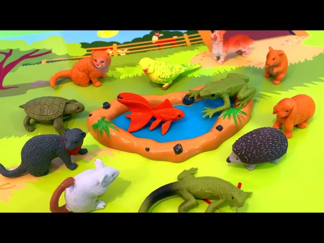 Pet Pals! Animal Toys and Exciting Puzzle