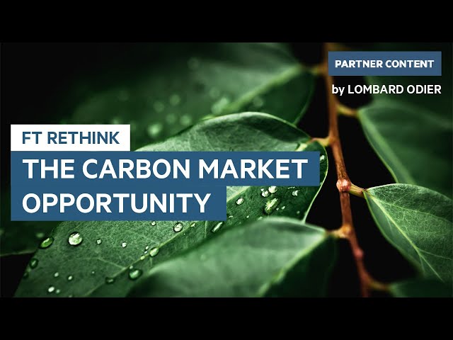 The Carbon Market Opportunity | FT Rethink