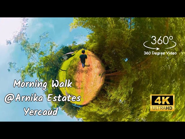 Arnika Estate Kottachedu, Yercaud | Morning | 360-Degree Video