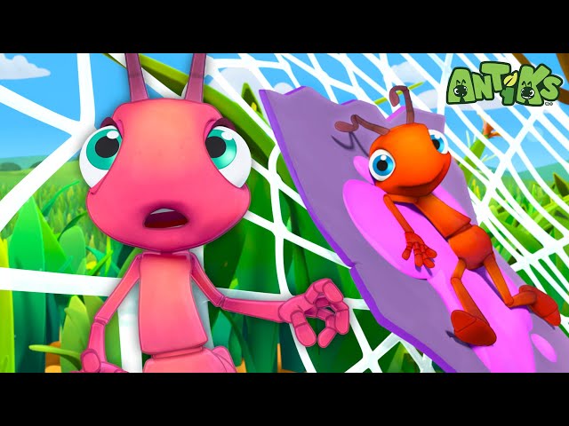 All Wrapped Up | 1 Hour of Antiks🐜 | Funny Adventure Cartoons for Kids | Be Brave!