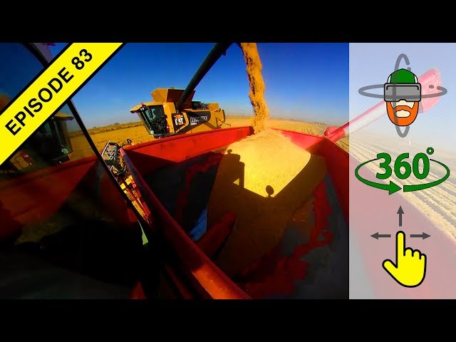 California's Unique Tractor: The "Bankout" aka Auger Wagon in Virtual 360º Action!