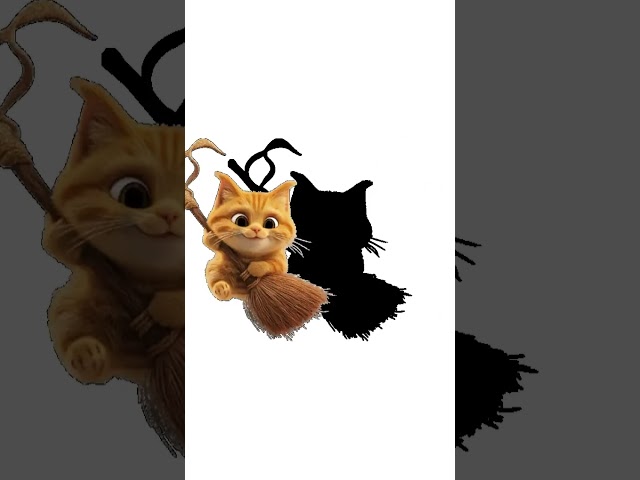 A Cat Flying On A Broom Like A Witch 10