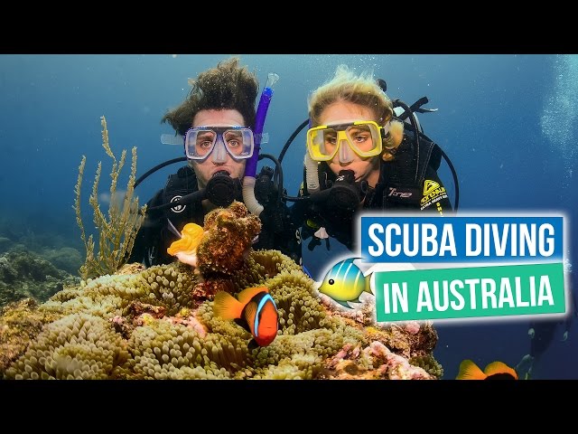 Scuba Diving in the Great Barrier Reef