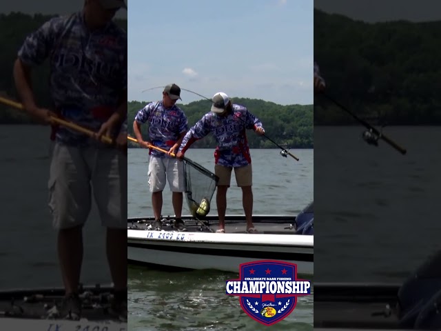 #TBT to DBU at Pickwick Lake! #BassProShops #PickwickLake #VisitTheShoals #Fishing #BassFishing