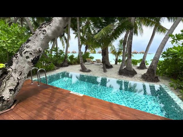 Beach Pool Villa @ Mercure Maldives Kooddoo Resort