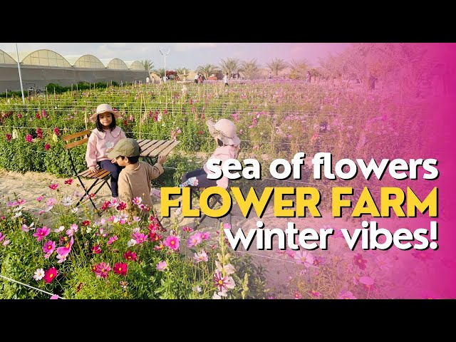 Beautiful Abu Dhabi Flower Farm | Best Tourist Attraction for Kids