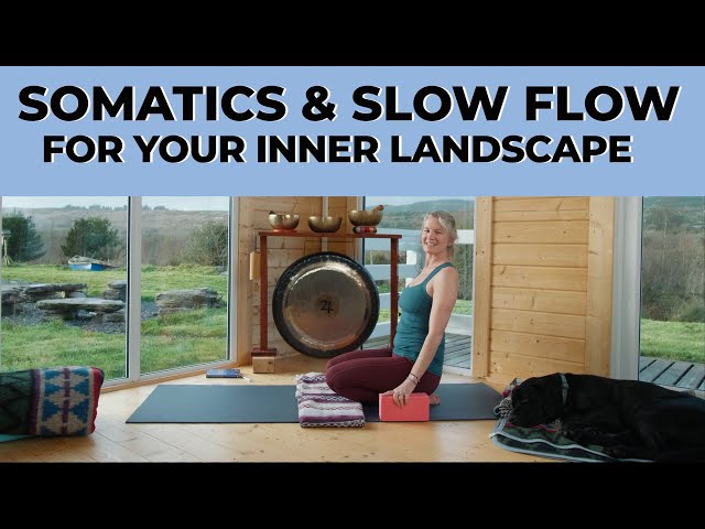 Somatics & Yoga For Your Inner Landscape